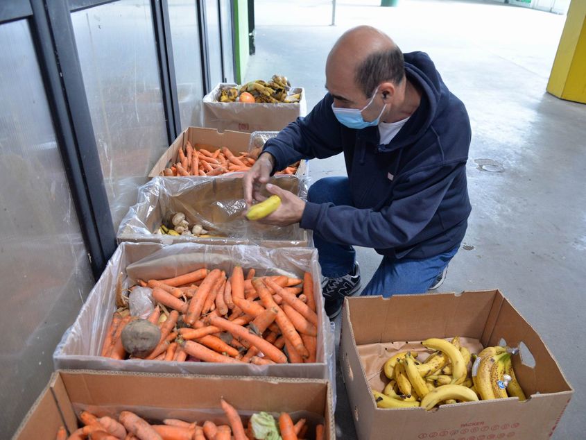 Din trei sacoșe de alimente, una va ajunge la gunoi. Cine e de vină pentru risipa alimentară: indivizii sau companiile?  PressOne